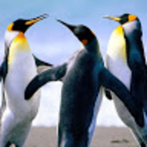 Meet your Posher, Doug